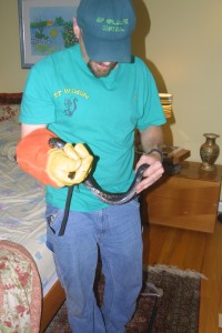 snake removal from bed room CT