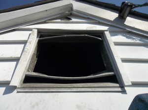 Raccoon attic entry point Raccoon attic entry point